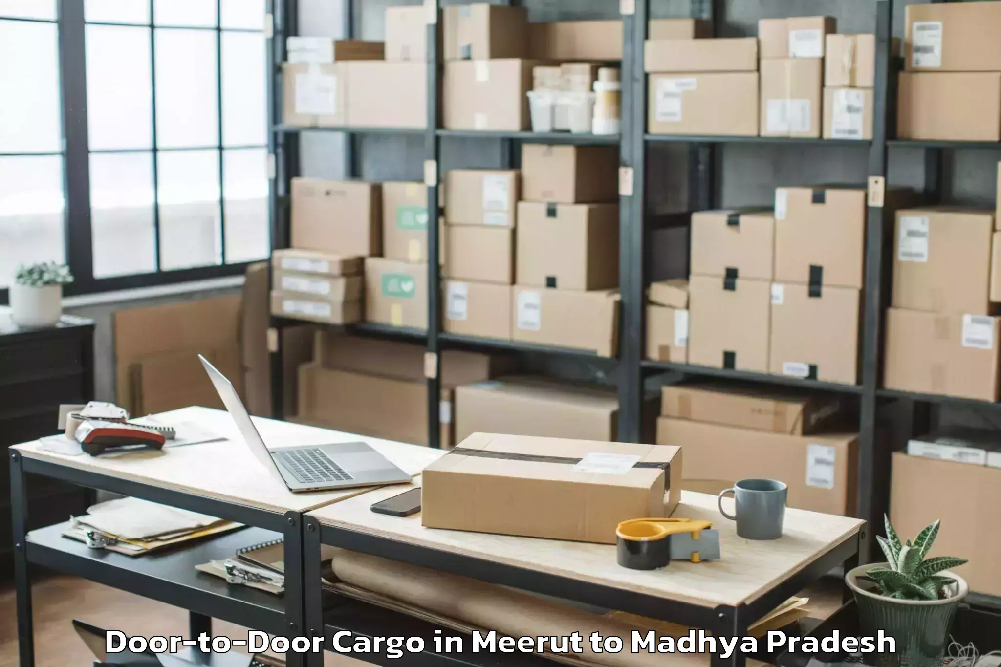 Meerut to Lateri Door To Door Cargo